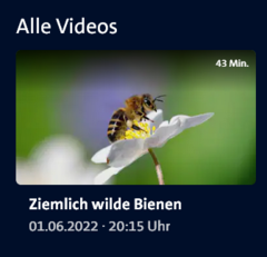 Screenshot NDR Mediathek: Ziemlich wilde Bienen